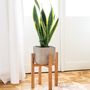 Decorative objects - Mid-century plant stand - OAKYWOOD