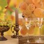 Glass - Martini glass 210 ml - DUTCH STYLE BY BAROQUE COLLECTION