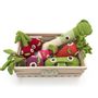 Gifts - STARTER PACKAGE SMALL - BABY RATTLE 100% ORGANIC COTON - MYUM - THE VEGGY TOYS