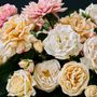 Floral decoration - Real touch roses and dahlia's - Silk-ka Artificial flowers and plants for life! - SILK-KA
