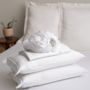 Bed linens - Cosmetic Algae Sheet Set - MARIALMA