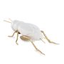 Objets design - The singing of the Cricket - Decorative, Ceramic - LABORATÓRIO D'ESTÓRIAS