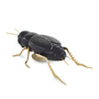 Objets design - The singing of the Cricket - Decorative, Ceramic - LABORATÓRIO D'ESTÓRIAS