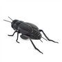 Objets design - The singing of the Cricket - Decorative, Ceramic - LABORATÓRIO D'ESTÓRIAS
