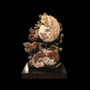 Pièces uniques - Collection Ammonites & Coquilles - STEFANO PICCINI - BESPOKE NATURE