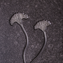 Unique pieces - Crinoids collection - STEFANO PICCINI - BESPOKE NATURE