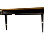 Dining Tables - Wood and resin table - MEUBLES THOURET