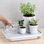 Floral decoration - Micro Greenhouse Tray : Recycled Plastic Self Watering Plant Pot for indoor and outdoor garden - QUALY DESIGN OFFICIAL