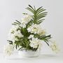 Floral decoration - WHITE VANDA CUP - LOU DE CASTELLANE