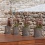 Floral decoration - ARENA planter - ISIMAR