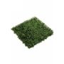 Decorative objects - UV-Collection - Green Wall - Boxwood Mat Weather Resistant 50x50cm - EMERALD ETERNAL GREEN BV