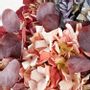 Décorations florales - HORTENSIA VINTAGE - LOU DE CASTELLANE