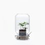 Objets design - Jar Coffea 2.0 - PIKAPLANT