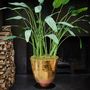 Floral decoration - Strelizia plant - Silk-ka Artificial flowers and plants for life! - SILK-KA