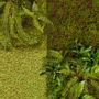 Floral decoration - Artificial green walls, breathe life into any space! - SILK-KA BV