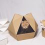 Accessoires animaux - дом ( dom ) eco Series - POLYGAMI