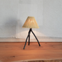 Lampes de table extérieures - Lampe Branche PM - TINJA