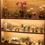 Floral decoration - Artificials Flowers, fruit & vegetables - VRANCKX - NATURE INSPIRED