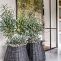 Decorative objects - Palm planter basket - GOMMAIRE