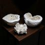 Sculptures, statuettes and miniatures - Between the tides - handbuilt porcelain - CLAUDIA BIEHNE