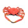 Decorative objects - faïence crustaceans - spider crab - BULL & STEIN