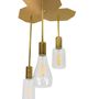 Lightbulbs for indoor lighting - CRISTALLO FASHION BULBS - INTERIA