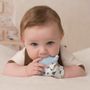 Childcare  accessories - Food Grade Silicone Teething Mitt - Hedgehog - SEVIRA KIDS