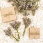 Bijoux - Bracelet médaillon fleur herbier de Provence lavande - JOUR DE MISTRAL