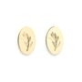 Jewelry - Provence herbarium earrings - JOUR DE MISTRAL