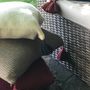 Cushions - Cushion Santa Clara - T'RU SUSTAINABLE HANDMADE
