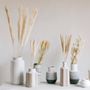 Objets de décoration - Pampas blanc fleur séchée naturelle 3pcs. AX70129  - ANDREA HOUSE