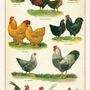 Tea towel - Cavallini's tea towels - CAVALLINI PAPER & CO.