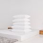 Comforters and pillows - BodyScale Pillows  - MR.BIG