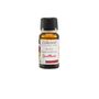 Scents - Essential oil - Gaultherie - ZERAH YONI