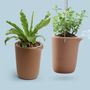 Décorations florales - Pot rond Oasis : pot de plantes auto-arrosage recyclable pour jardin intérieur et extérieur - QUALY DESIGN OFFICIAL
