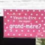Papeterie - Magnet "Veux-tu être ma grand mère?" made in France - LULU CREATION®