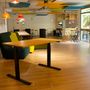 Desks - UGO — Electric Active Desk Height Adjustable - MAKIBA