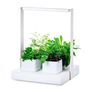 Ceramic - QUATTRO _ The first smart garden for your well-being - KIGARDEN