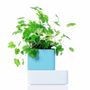 Design objects - UNO _ light blue - KIGARDEN