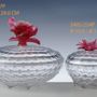 Crystal ware - CANDY BOX CASCADE WITH MOLTEN GLASS LID - CRISTAL DE PARIS
