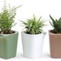 Floral decoration - Oasis Round Pot : Self-Watering Plant Pot for indoor and outdoor garden Home decorative - From Recycled Plastic  - QUALY DESIGN OFFICIAL