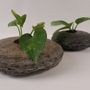 Accessoires de jardinage - Natural Slate Stone Tabletop Planter - VEN AESTHETIC CREATIONS