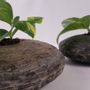 Garden accessories - Natural Slate Stone Tabletop Planter - VEN AESTHETIC CREATIONS