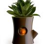 Floral decoration - Carepot : Carrot Recycled Plastic Self-Watering Plant Pot for Indoor and Outdoor Garden Decorate Home - QUALY DESIGN OFFICIAL