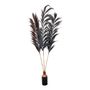 Decorative objects - J10 Tropical Hay Stalk black Large - POLE TO POLE