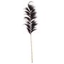 Decorative objects - J10 Tropical Hay Stalk black Large - POLE TO POLE
