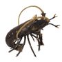 Decorative objects - H15 Lobster L  - POLE TO POLE