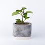 Vases -  Planter Ocean by D.A.R Proyectos - NEST