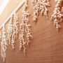 Other wall decoration - Curio Coral Wallpaper - LALA CURIO LIMITED