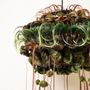 Decorative objects - STREPTOPUS EPIDEMICUS SUSPENSION - MICKI CHOMICKI HAIR BRUT